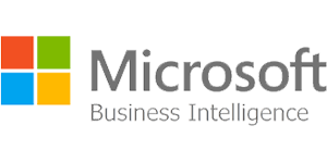 Microsoft BI Services